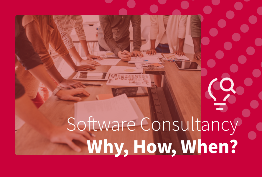 software consultancy - why, how, when
